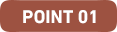 POINT 01